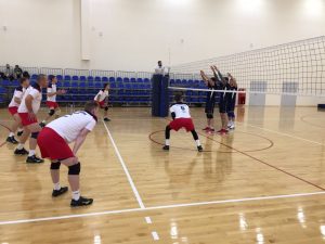 IMG-95c8629f7a6b10867a32e1f257a0ac02-V