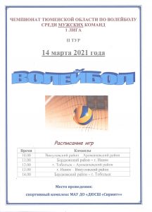 волейбол мужчины